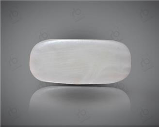 Natural White Coral ( Safed Mooga) Certified 7.31 CTS. ( 91526 )